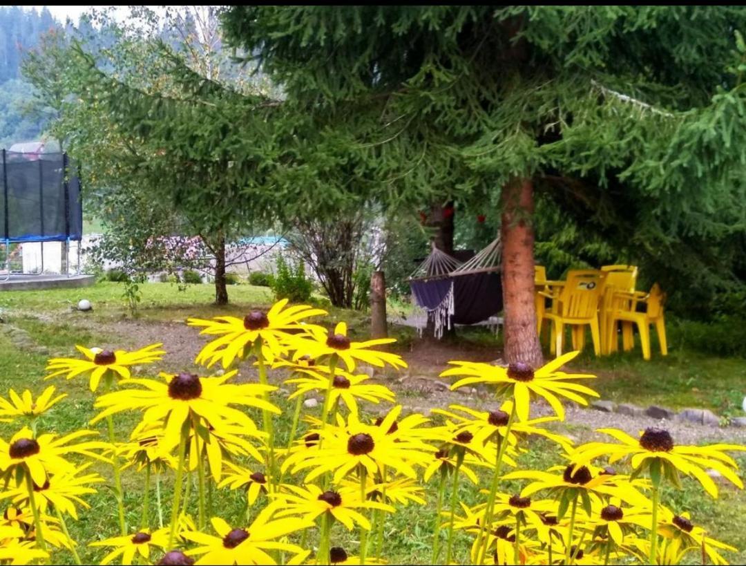 Zorjani Karpati Hotel Slavske Exterior foto